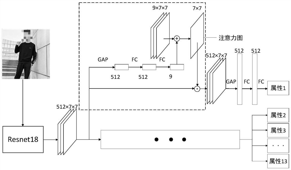 Human body image multi-attribute classification method based on priori prototype attention mechanism