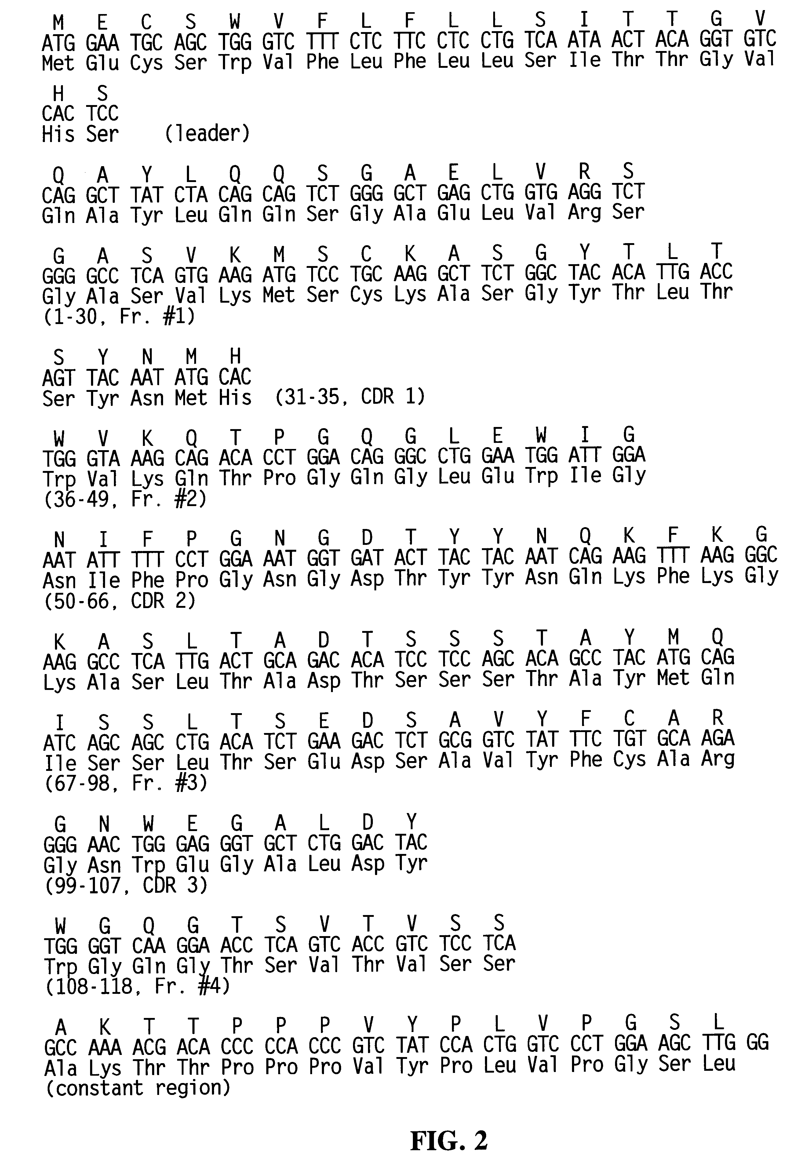 Murine monoclonal anti-idiotype antibody 11D10 and methods of use thereof