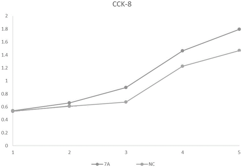 Method for enhancing proliferative capacity of hUCMSCs and application of method