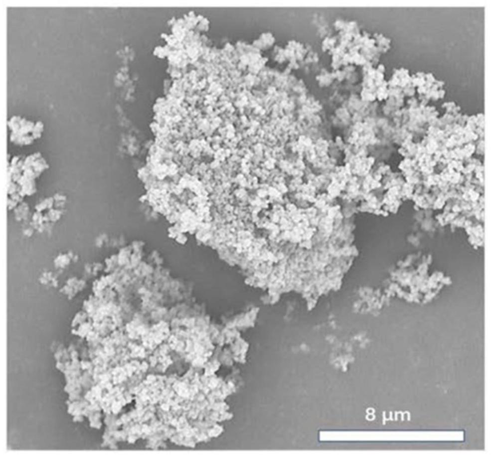 Method for anaerobic fermentation of organic household garbage of villages and small towns