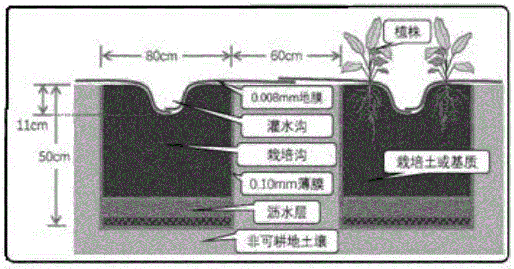 Facility leak-stopping and evaporation-limiting cultivation method for non-arable land