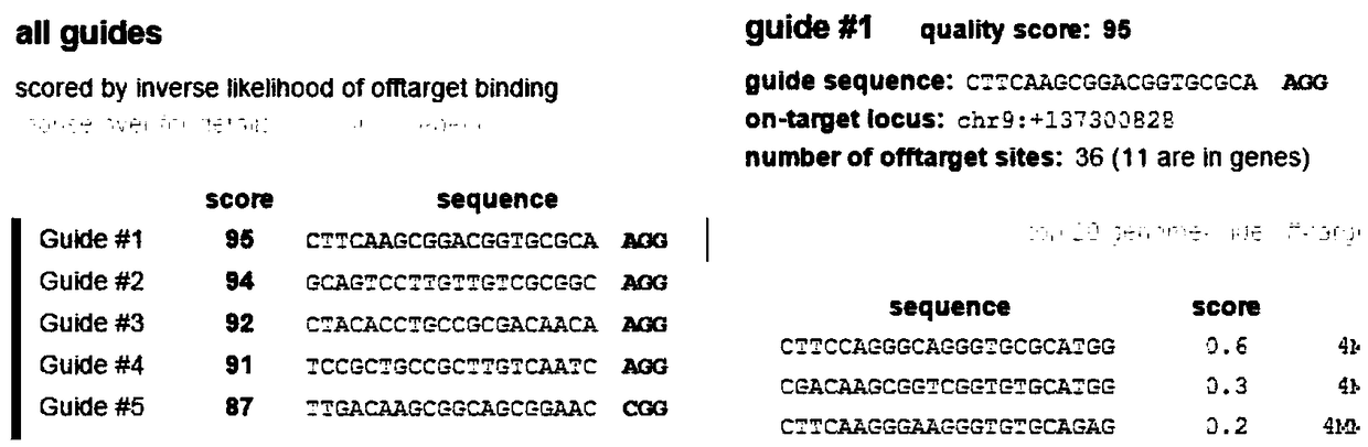 RXRalpha (Homo Sapiens Retinoid X Receptor alpha) gene knockout cell system with stable and low expression of RXRalpha protein and preparation method of RXRalpha gene knockout cell system