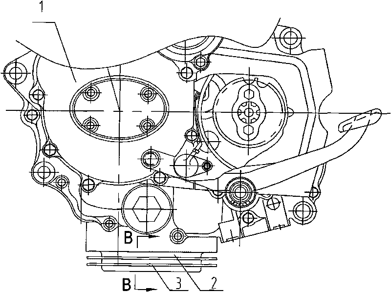 Oil storage air-cooled structure for motorcycle engine