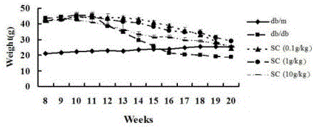 Application of senecio cineraria extract in preparing drug for treating deposition of liver fat