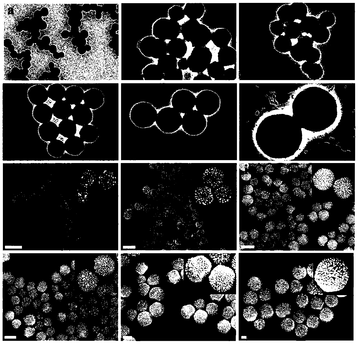 Preparation method of zif-8 nanosphere loaded SERS coded gold nanoparticles for intracellular photothermal therapy