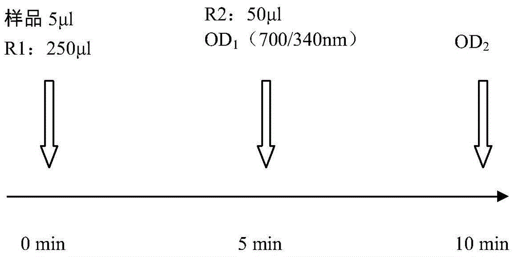 Kit and method for detecting content of KAPPA light chain and application of kit