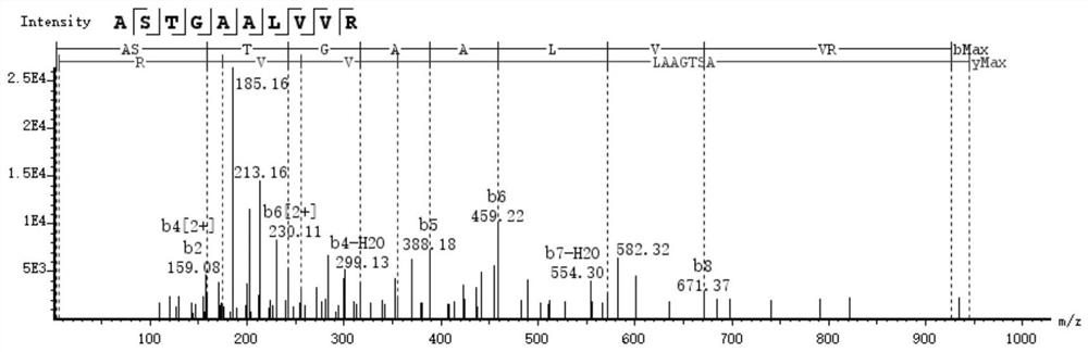 Characteristic polypeptide for identifying deer-horn glue of Cervus nippon or Cervus elaphus, and application of characteristic polypeptide