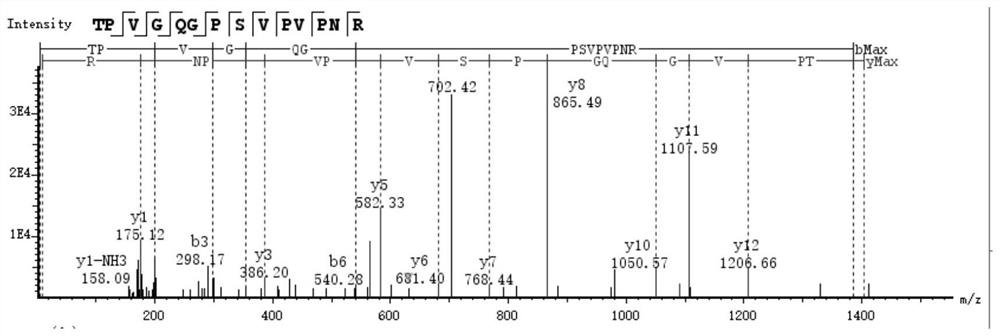 Characteristic polypeptide for identifying deer-horn glue of Cervus nippon or Cervus elaphus, and application of characteristic polypeptide