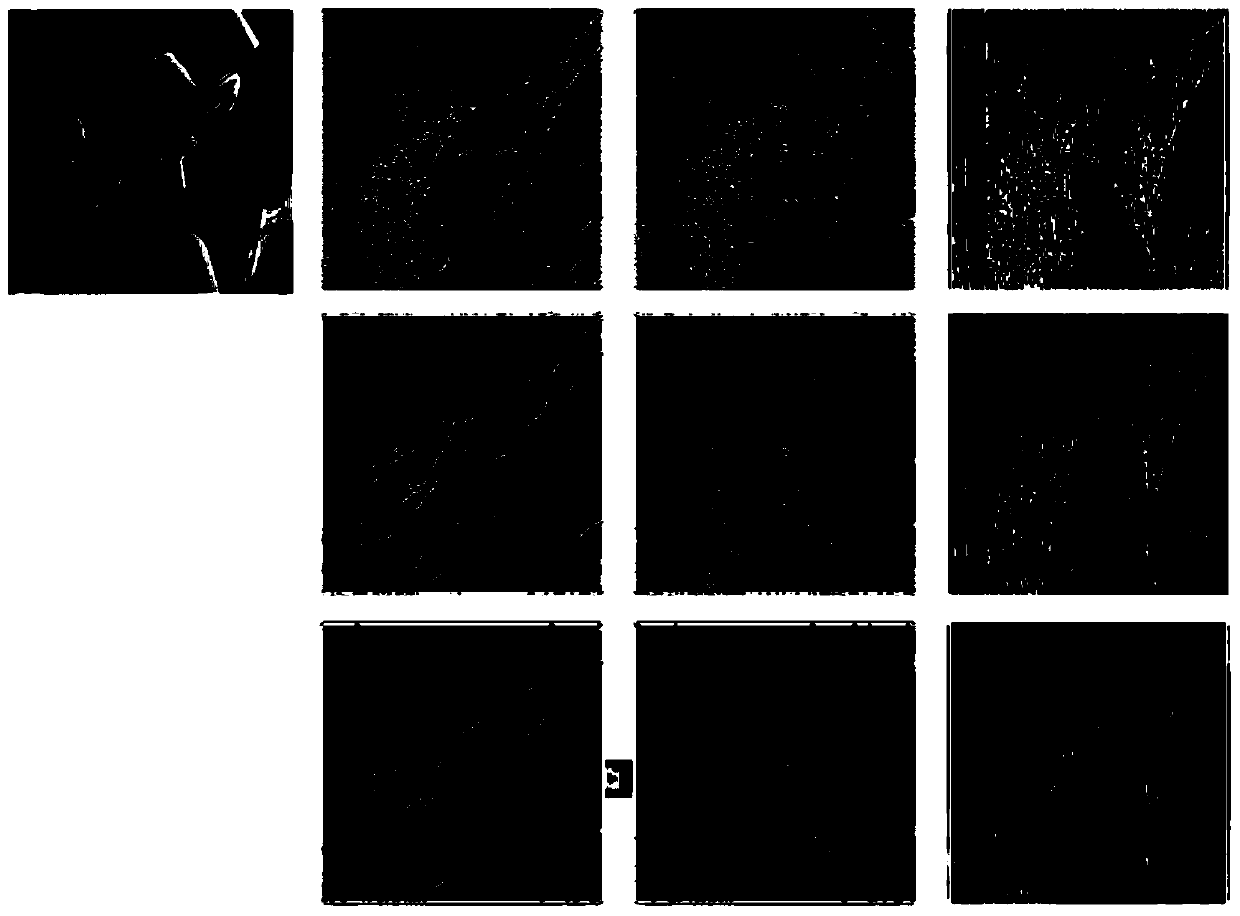 Upper human body detection method based on accumulative perceptron