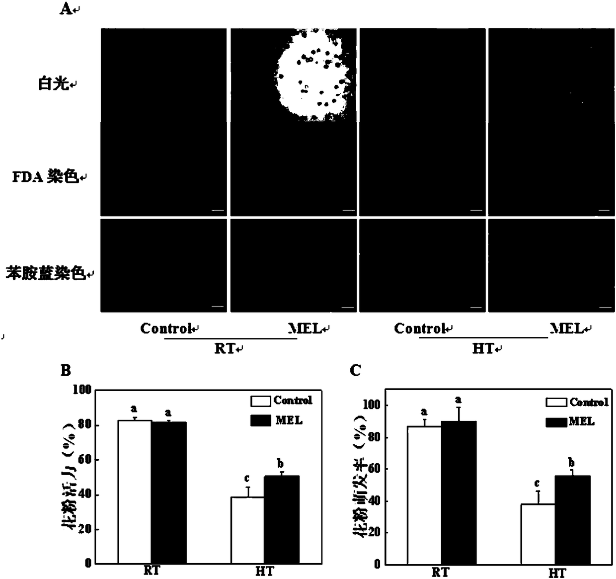 Application of melatonin to alleviation of tomato pollen abortion due to high temperature induction