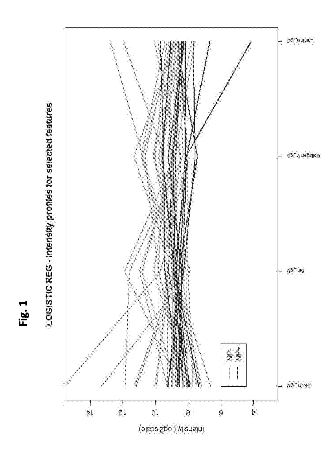 Methods for determining the risk of a systemic lupus erythematosus (SLE) patient to develop neuropsychiatric syndromes