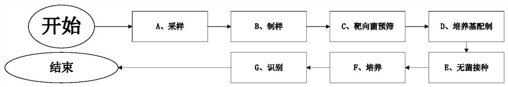 Simple and convenient identification method of bacillus cereus for konjac glucomannan