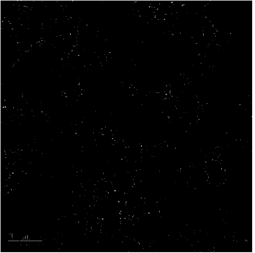 Ferrous carbonate/graphene composite material and preparation method and applications thereof