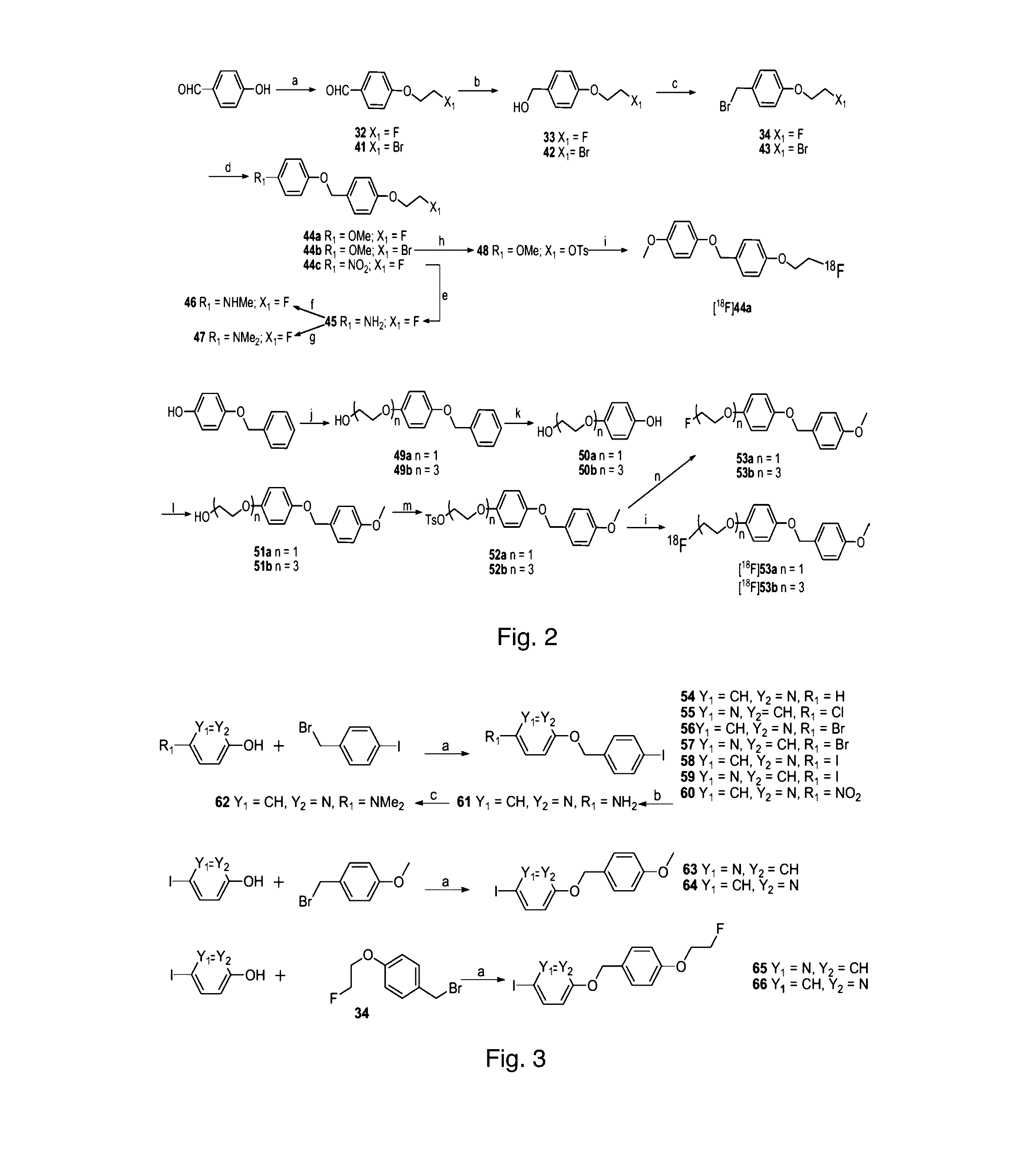 Phenyl benzyl ether derivative and preparation method and application thereof