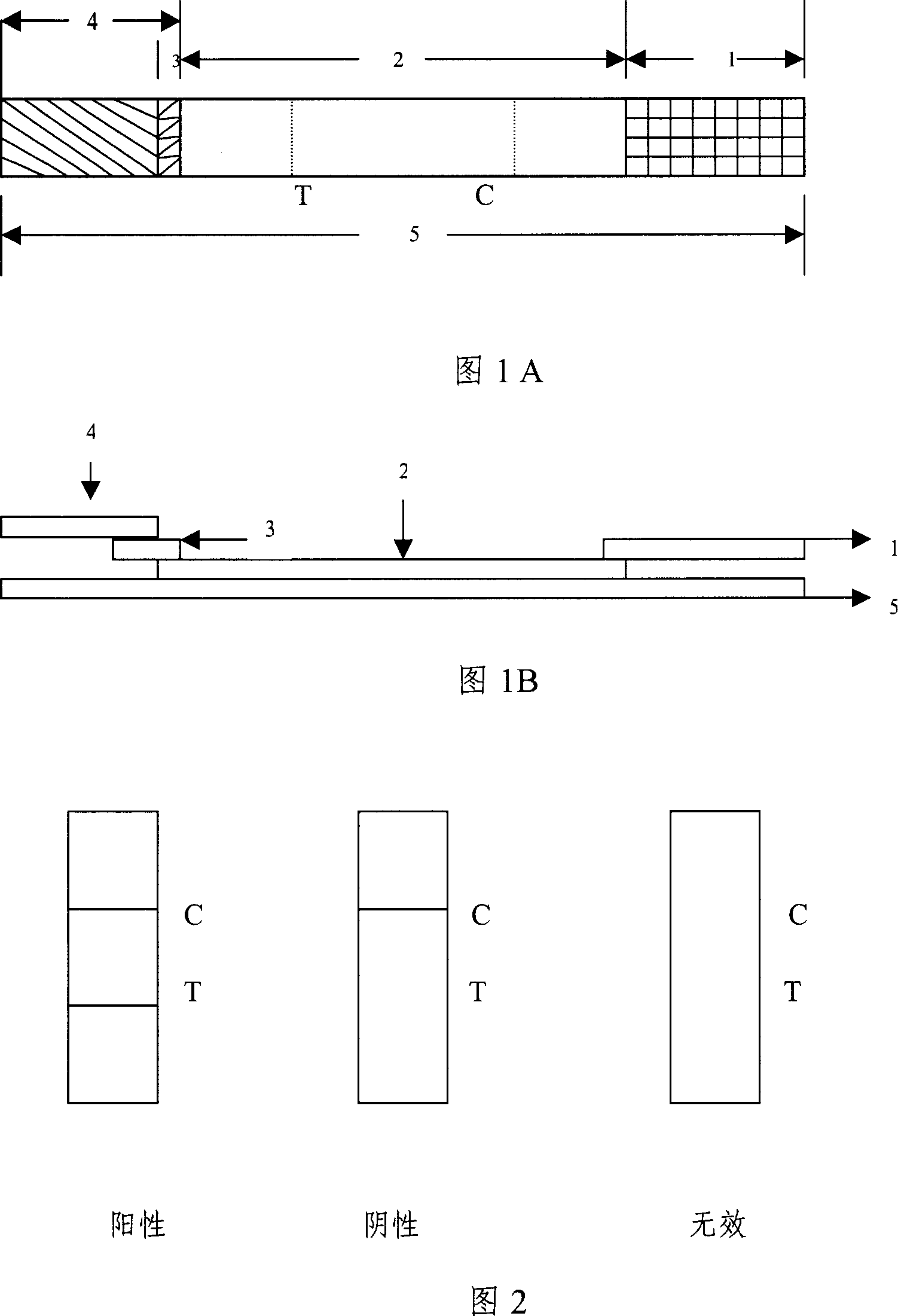 Rapid test paper bar for testing colloidal gold of 0139 group cholera vibrio