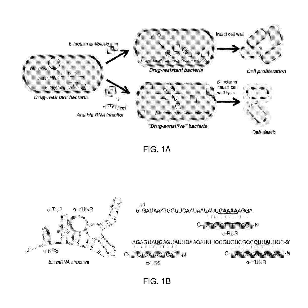 Sequence Specific and Organism Specific Antimicrobials and Related Materials and Methods