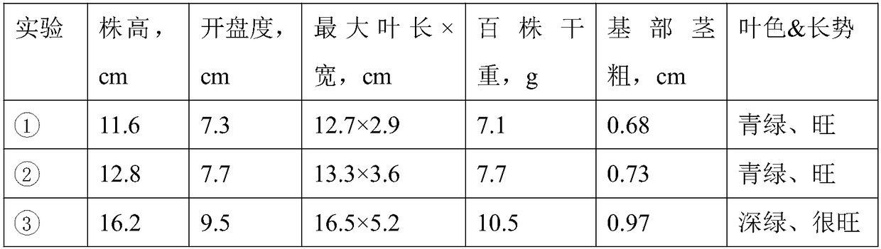 Streptomyces bacterial strain, and culture method and applications thereof