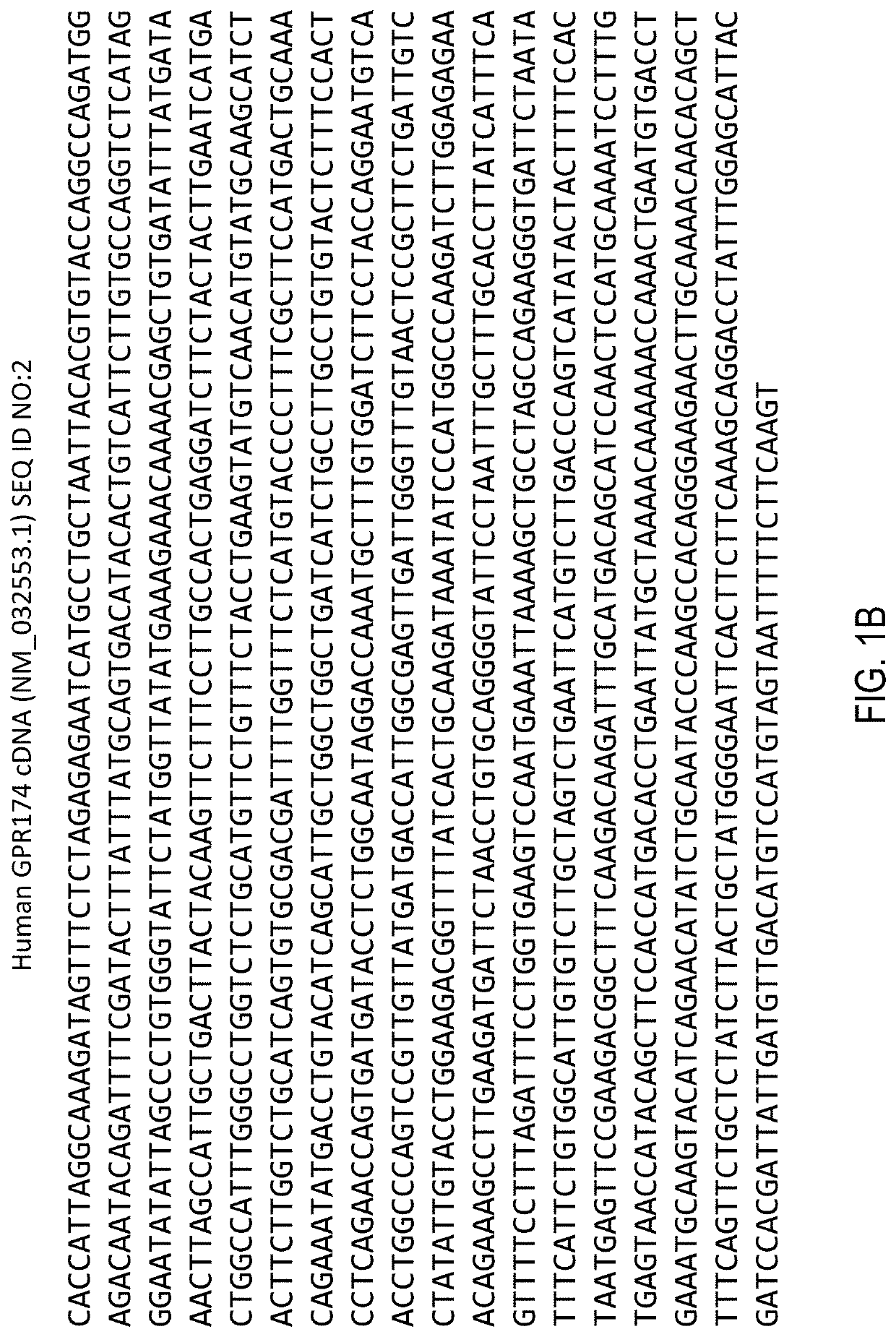 Inhibitors of GPR174 and Uses Thereof