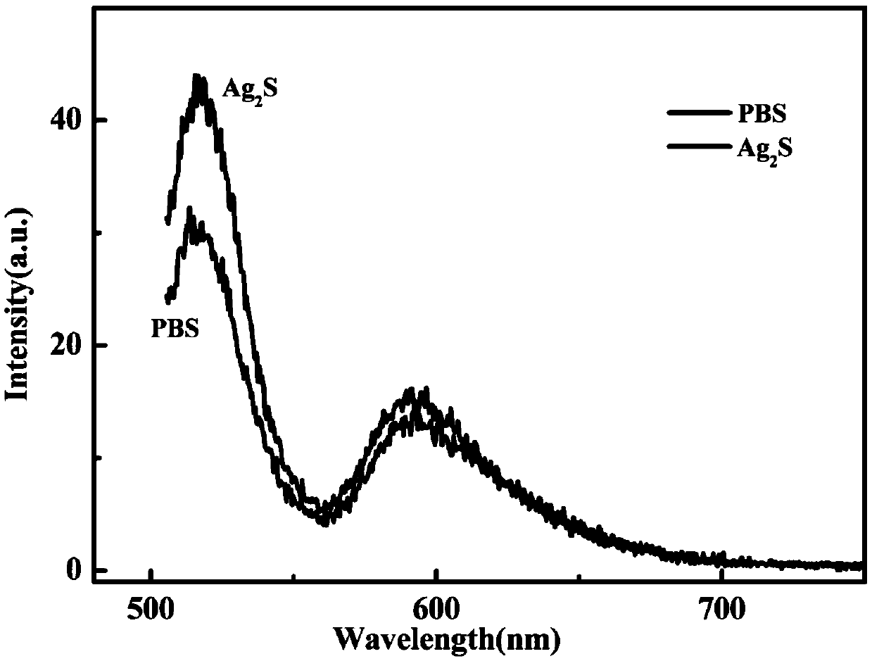 Application of micelle as photosensitizer formed by amphiphilic molecules and Ag2S quantum dots