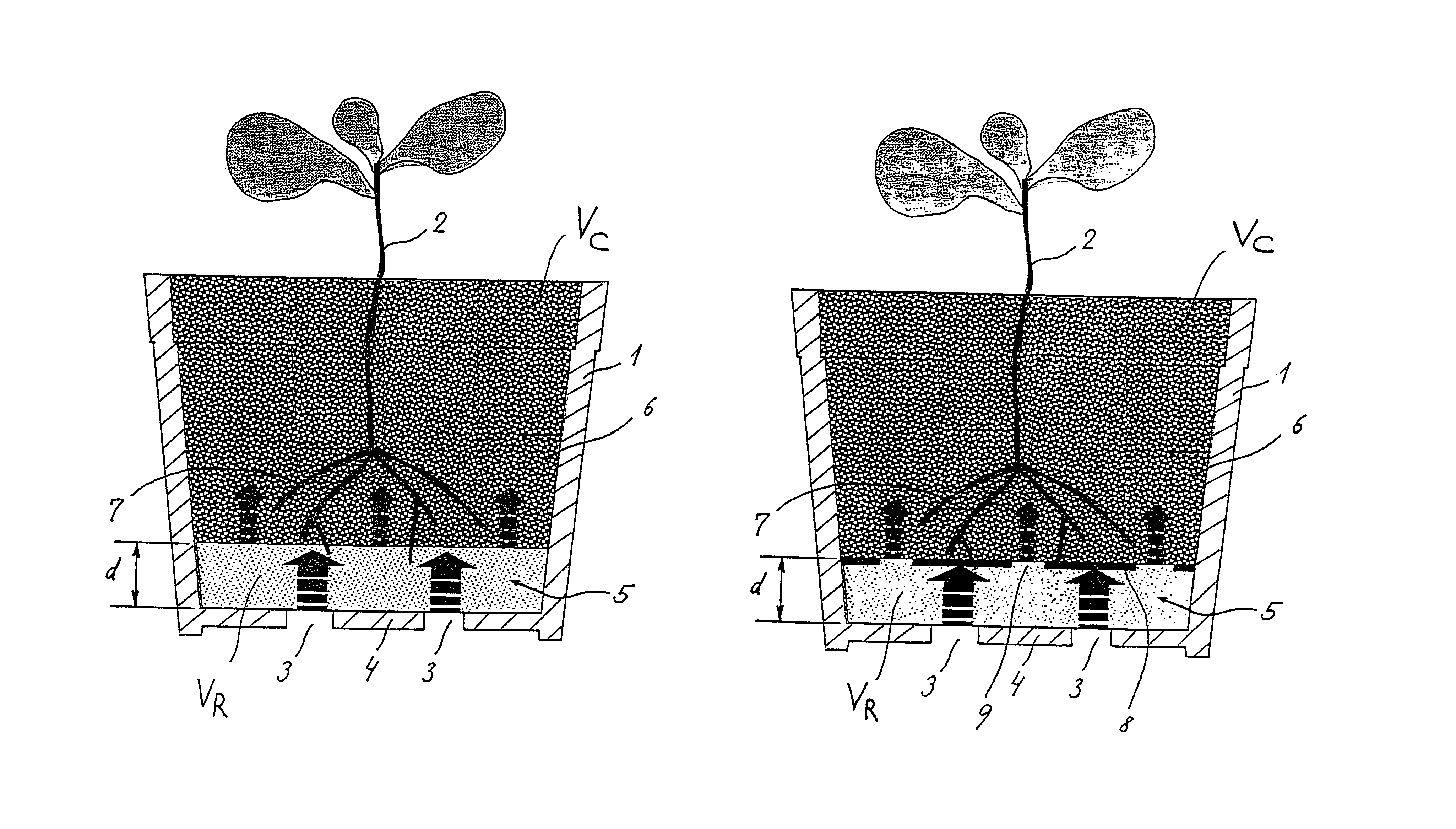 Capilar controlled watering of plants