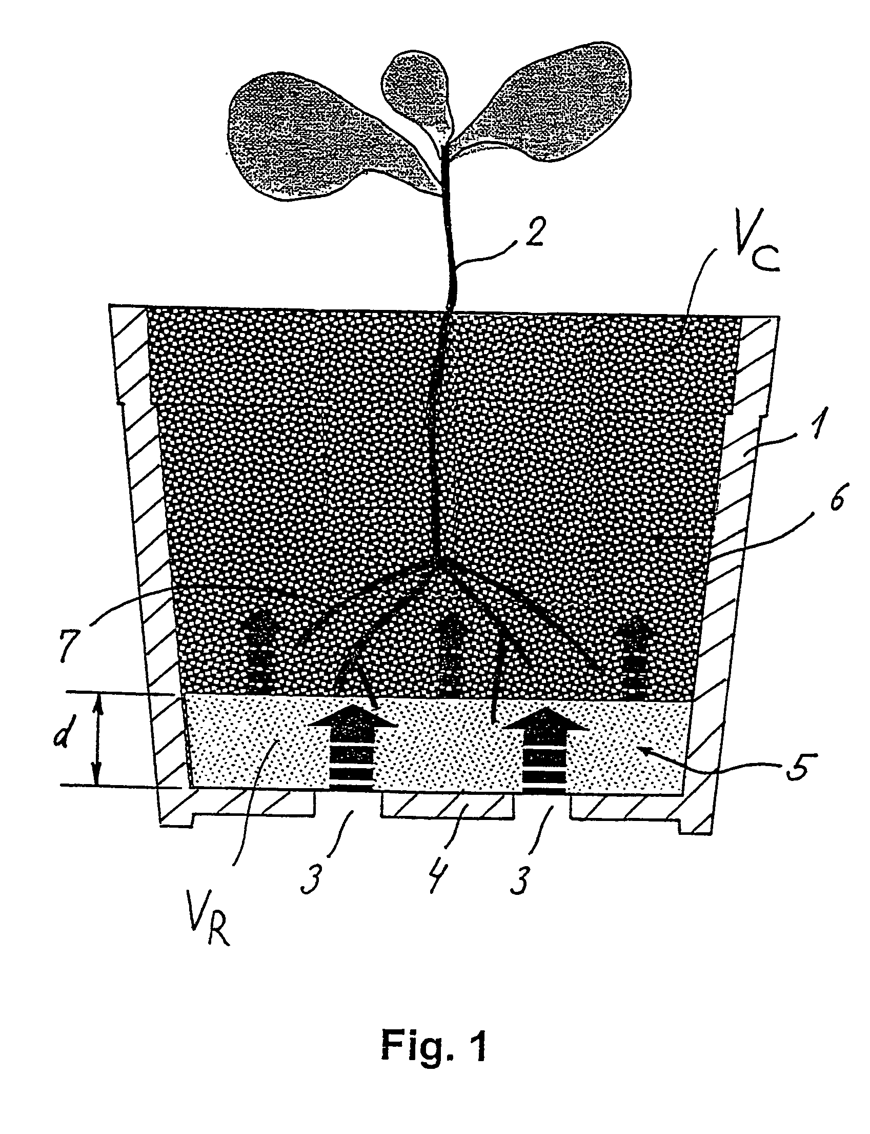 Capilar controlled watering of plants