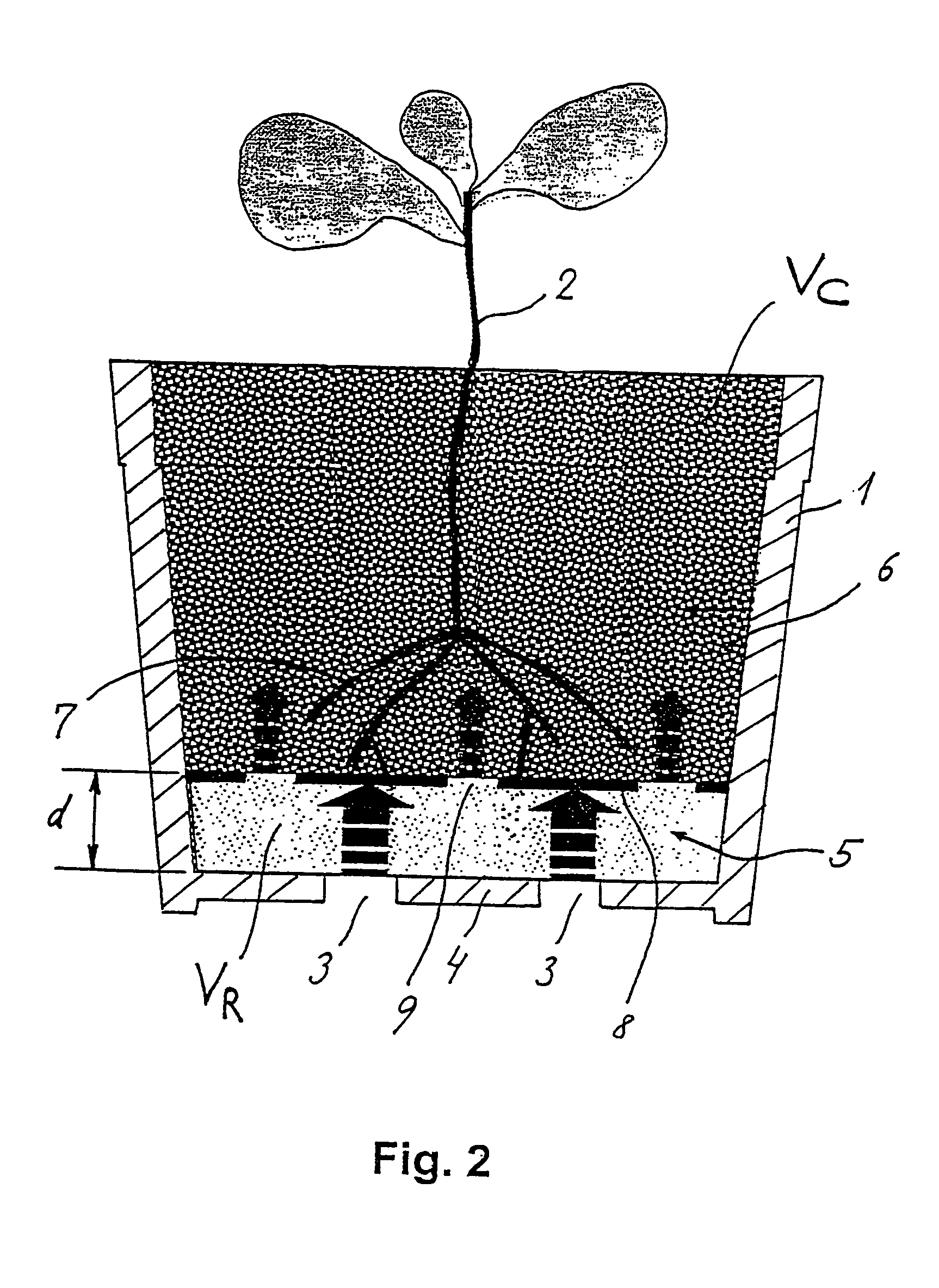 Capilar controlled watering of plants