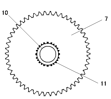 Speed increasing chain wheel for bicycle