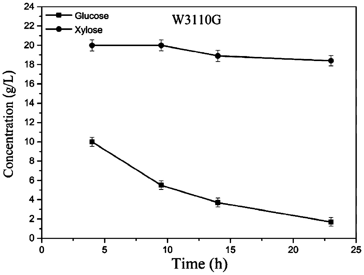 Escherichia coli camp receptor protein mutant, genetic engineering strain and application