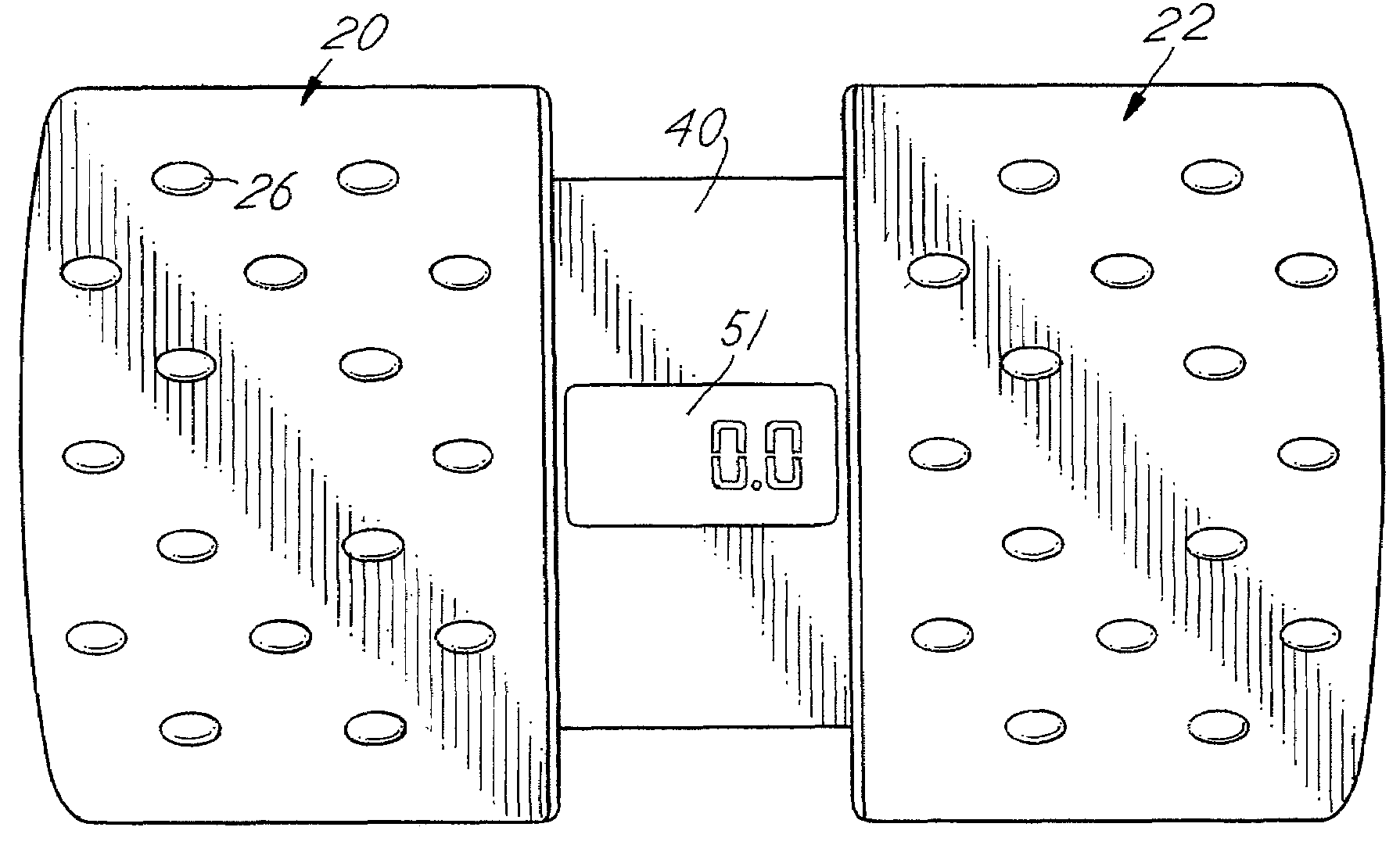 Portable scale