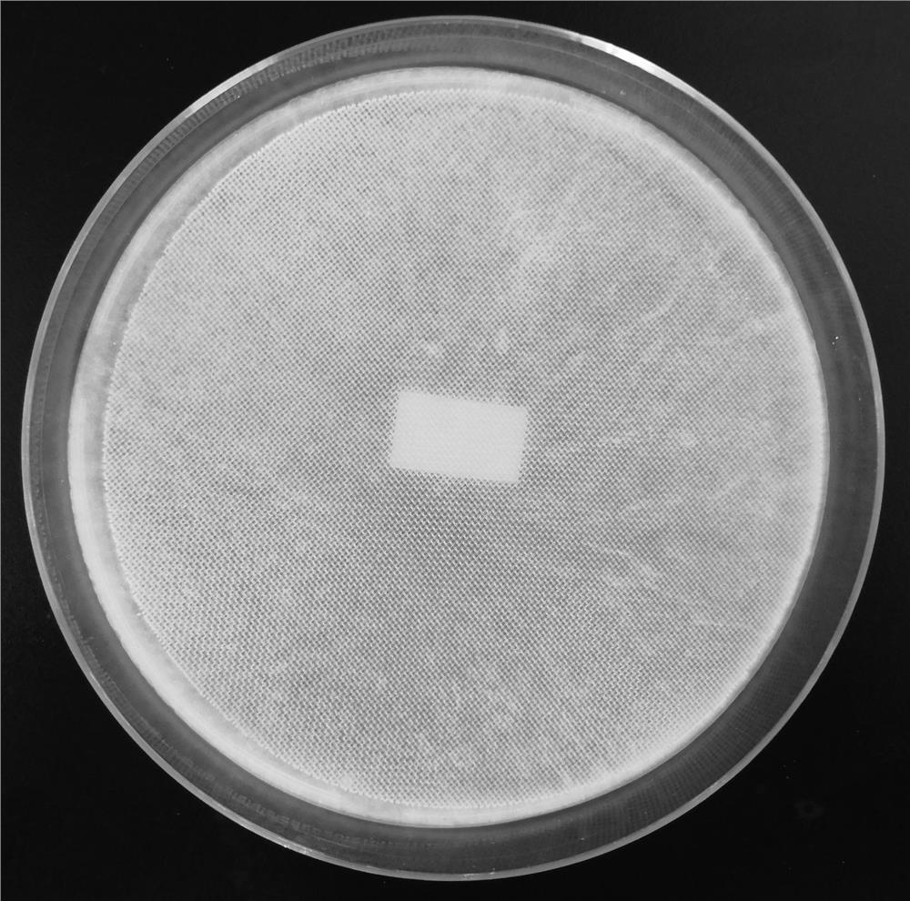 Preparation method of cellulose aerogel-based efficient air filtering membrane