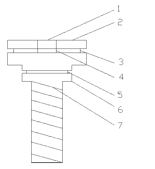 Stainless branching screw