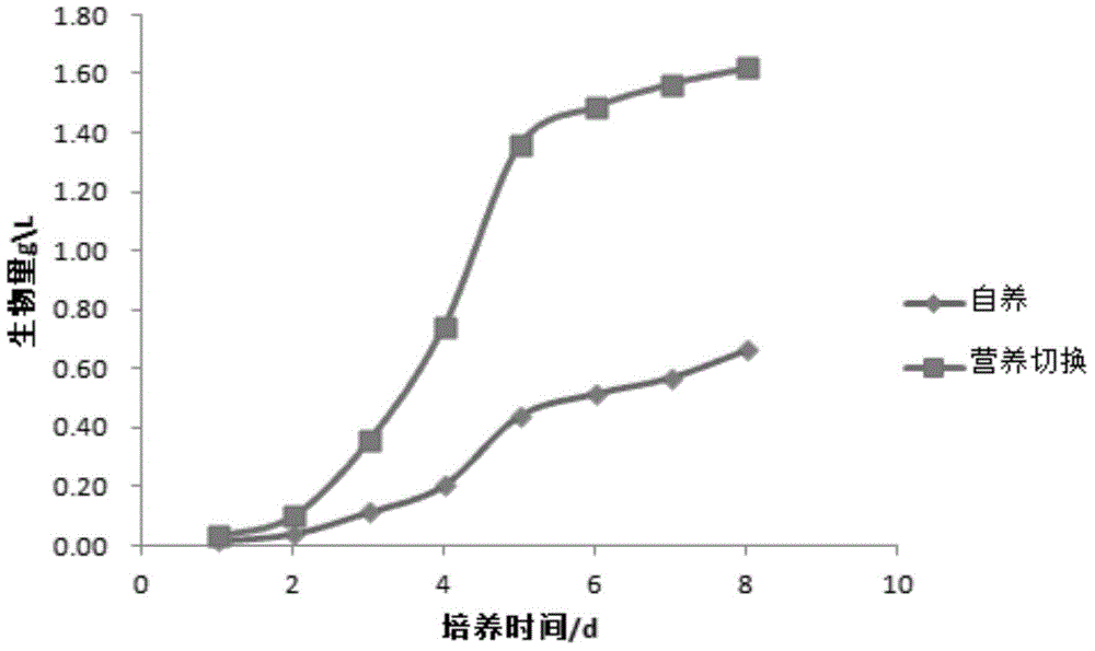 Nutrient switching method for culturing oleaginous microalgae