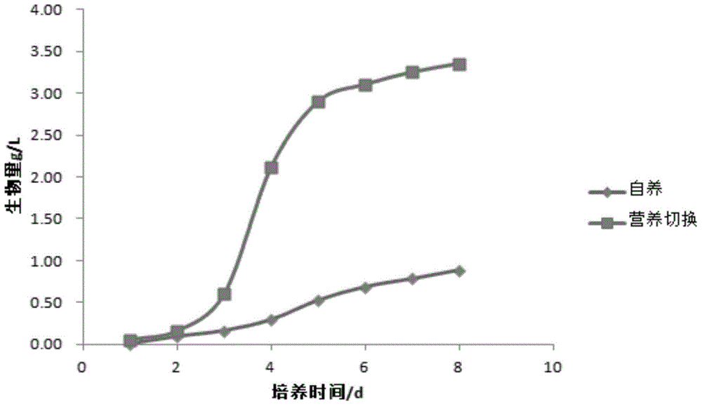 Nutrient switching method for culturing oleaginous microalgae