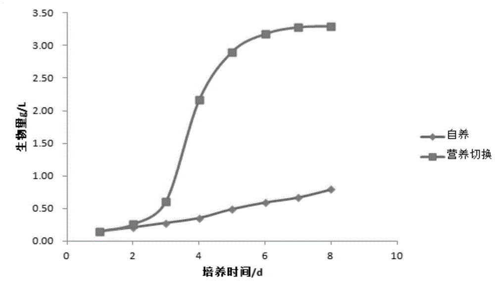 Nutrient switching method for culturing oleaginous microalgae