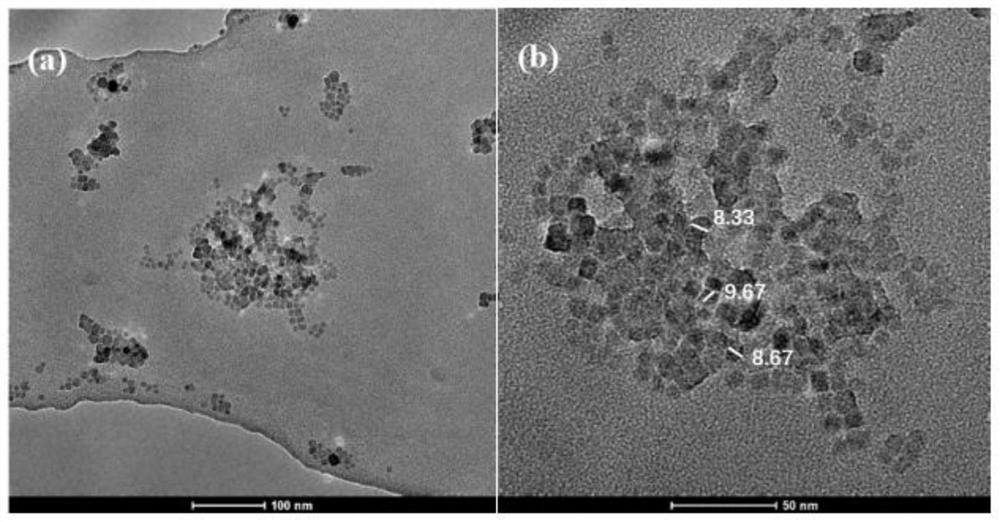 Eu &lt; 2 + &gt;-doped inorganic nanoparticles as well as preparation method and application thereof