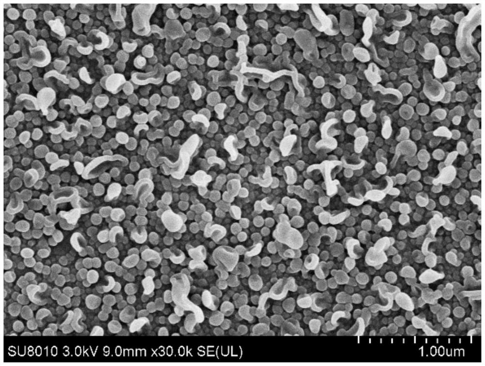 Pollution-resistant separation membrane with ionic liquid layer on surface and preparation method of pollution-resistant separation membrane