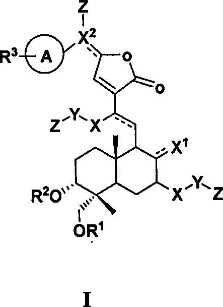 Andrographolide analogue and application of andrographolide analogue to treatment