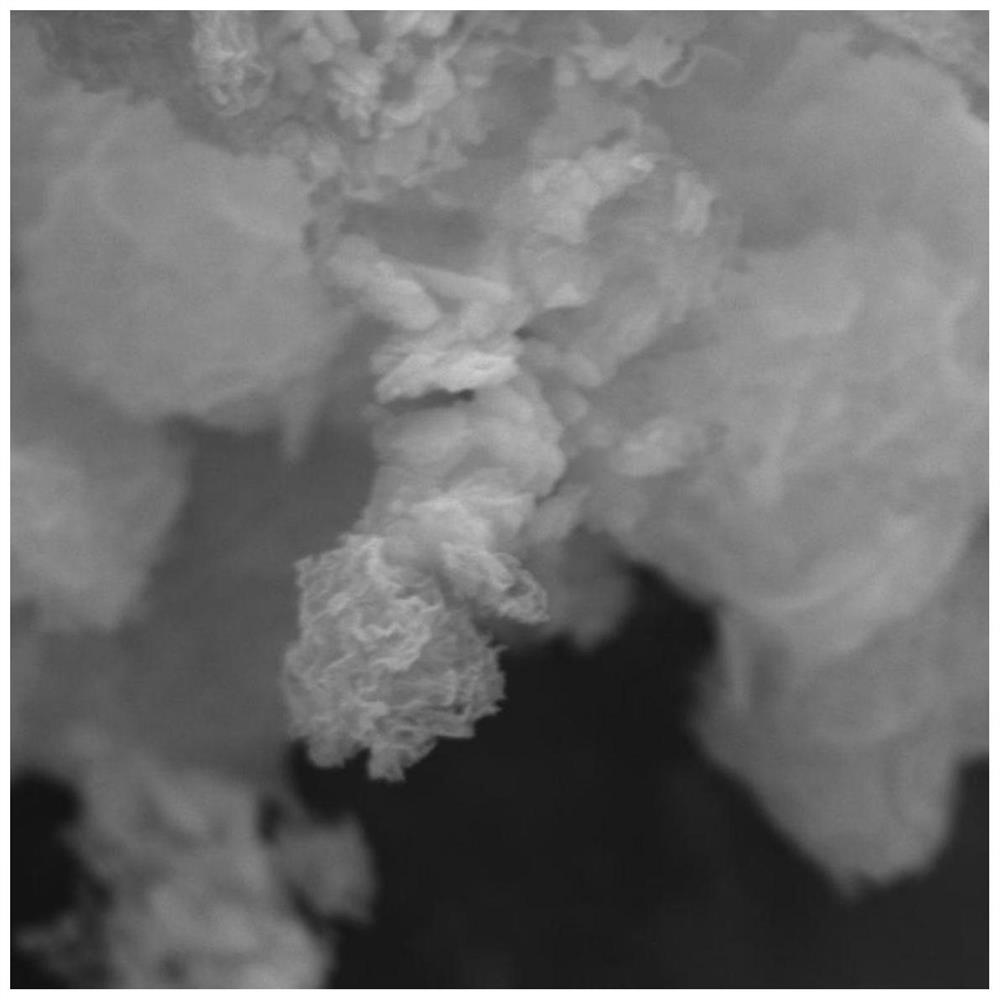 Carbon-coated sodium vanadium titanium fluorophosphate composite material and preparation and application thereof in sodium electricity