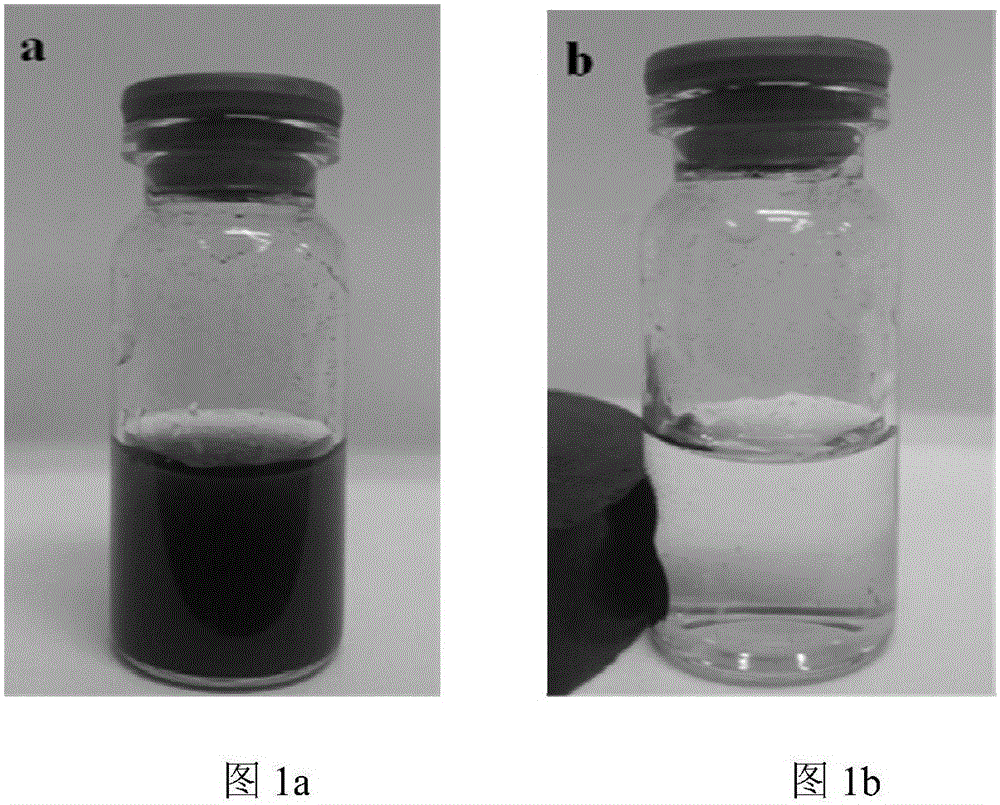 Method for preparing bioactive peptide from immobilized bi-enzyme of composite carrier magnetic nano-particles