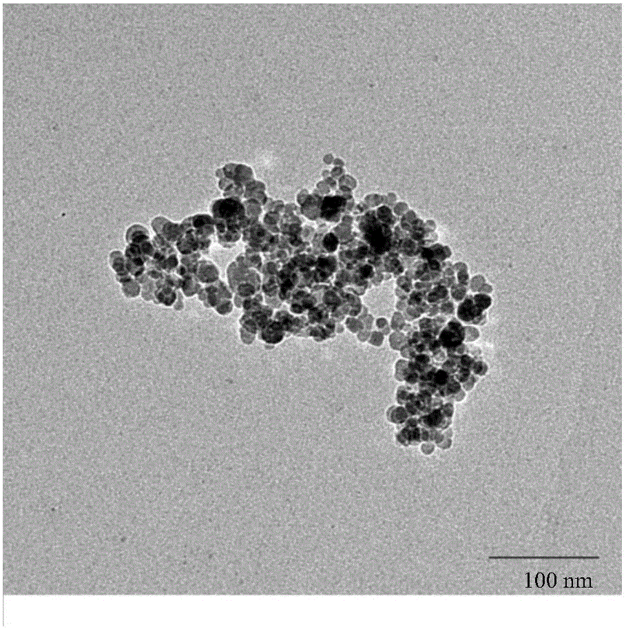 Method for preparing bioactive peptide from immobilized bi-enzyme of composite carrier magnetic nano-particles