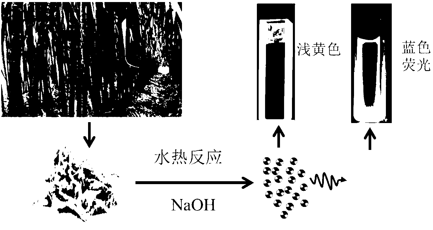 Preparation method of environment-friendly economic luminescent carbon quantum dot