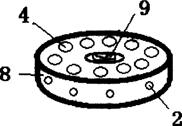 Texitile light ageing test instrument