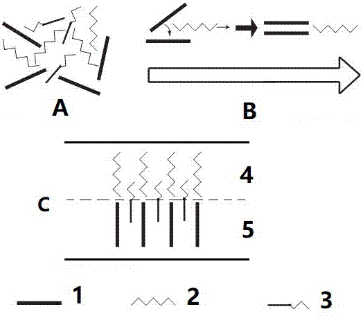 Block copolymer modified amphipathy polylactic acid composite membrane and preparation method