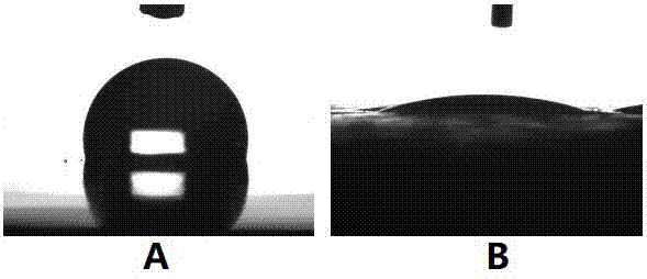 Block copolymer modified amphipathy polylactic acid composite membrane and preparation method