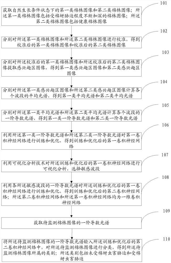 Cotton aphid pest monitoring method and system based on spectral imaging and deep learning