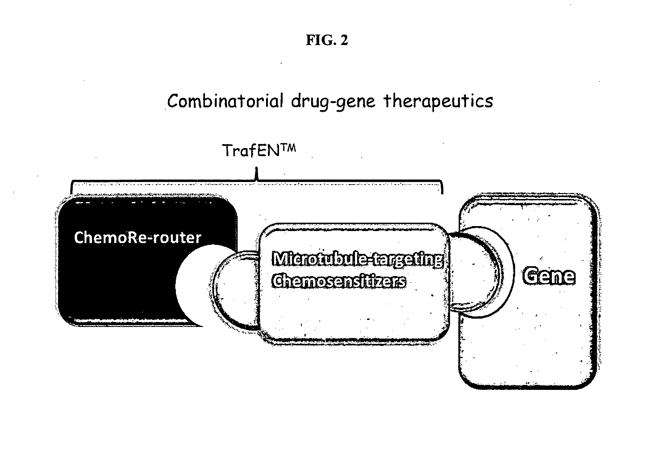 Novel reagent for gene-drug therapeutics