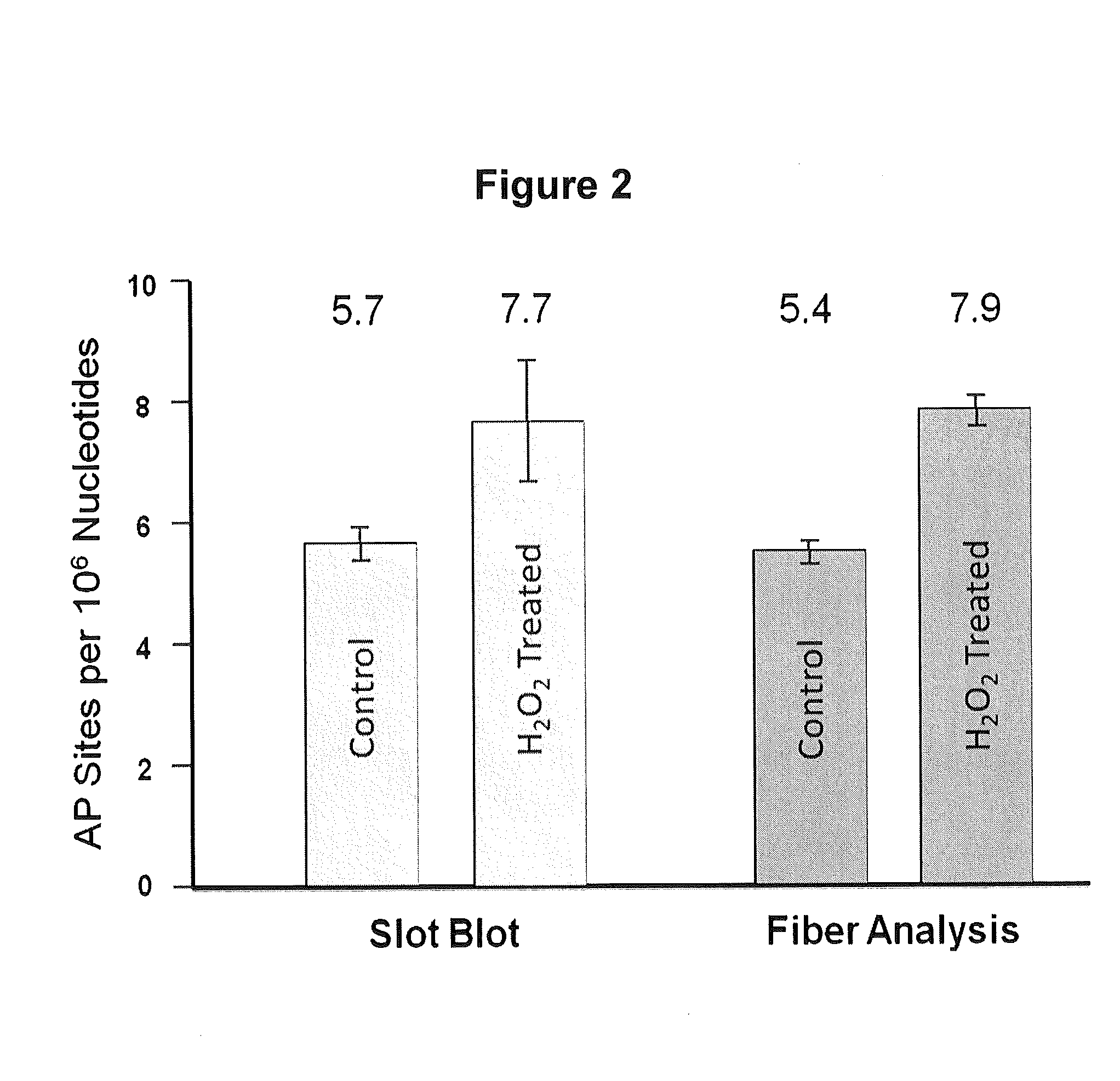 Detection of Damage to DNA