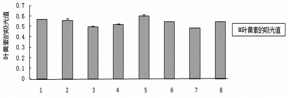 Orange cabbage carotenoid extracting and measuring method