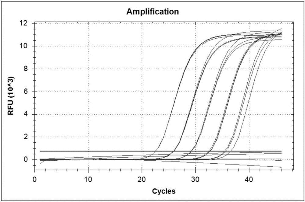 Genetically modified rice PA110-15 transformant specificity quantitative PCR detection primer