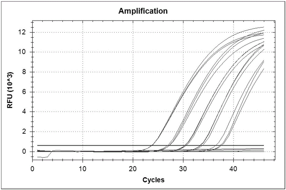 Genetically modified rice PA110-15 transformant specificity quantitative PCR detection primer